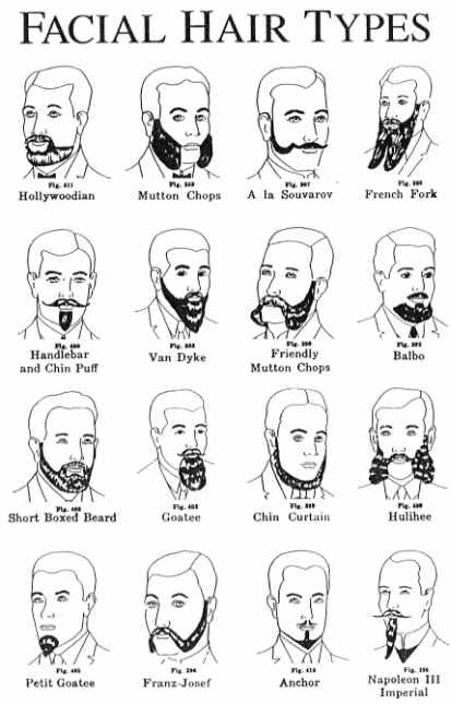 Beards For Men. most beards that are